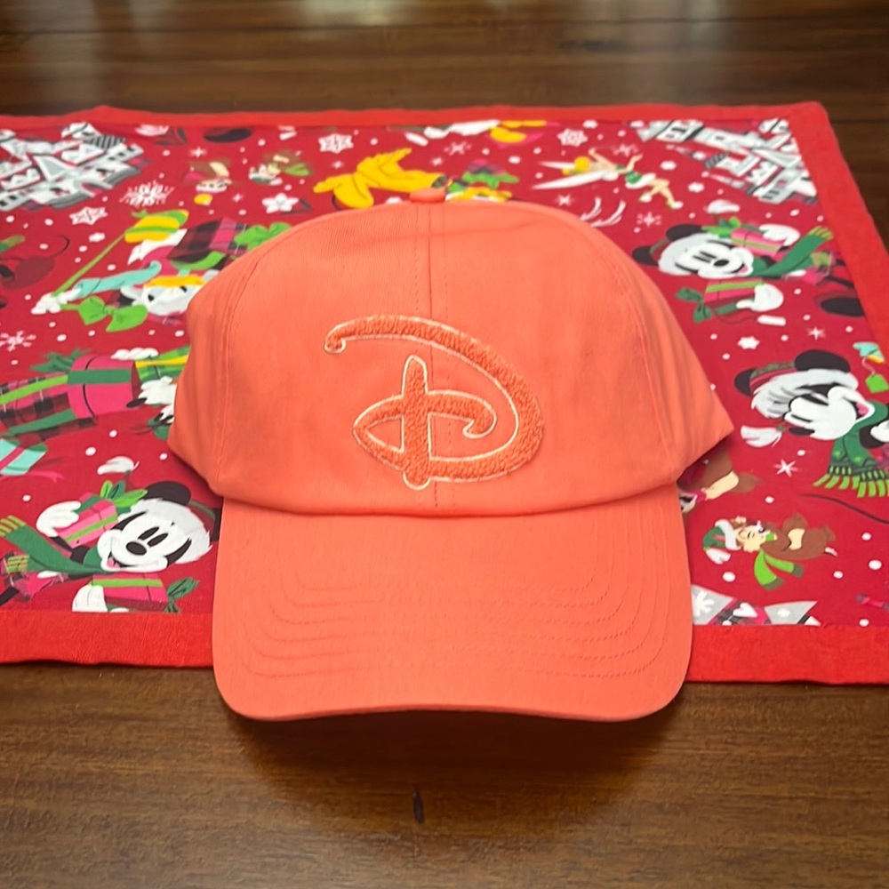 Disney hat